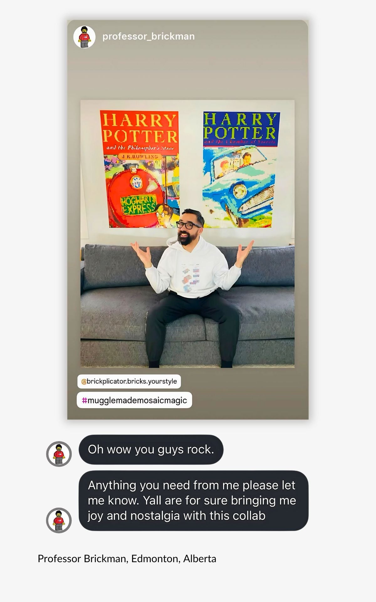 Professor Brickman sitting on a couch with 'Harry Potter' custom mosaic book covers displayed on the wall