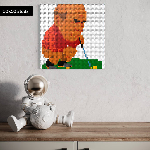 50*50studs, 40*40cm, 15,75*15,75inch