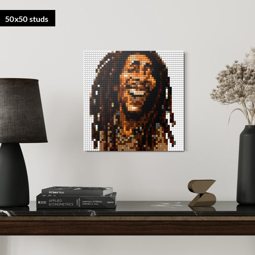 50*50studs, 40*40cm, 15,75*15,75inch