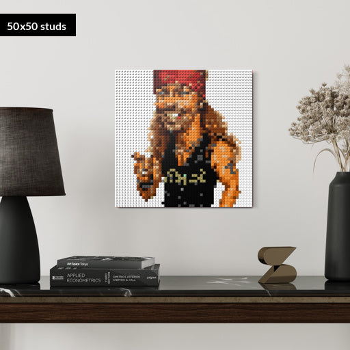 50*50studs, 40*40cm, 15,75*15,75inch