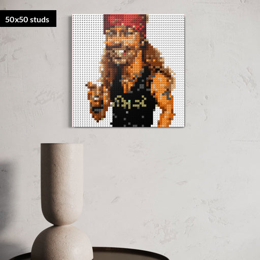 50*50studs, 40*40cm, 15,75*15,75inch