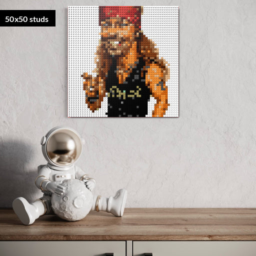 50*50studs, 40*40cm, 15,75*15,75inch