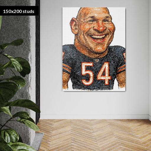 150*200studs, 120*160cm, 47,25*63inch