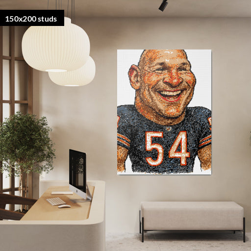 150*200studs, 120*160cm, 47,25*63inch