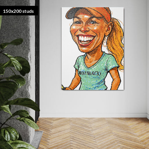 150*200studs, 120*160cm, 47,25*63inch