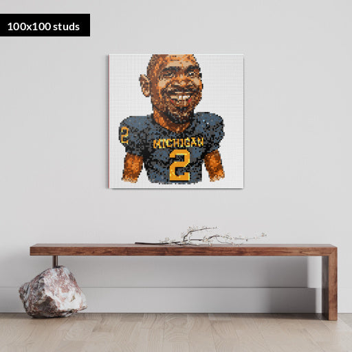 100*100studs, 80*80cm, 31,5*31,5inch