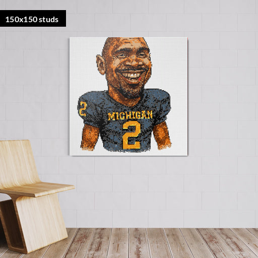 150*150studs, 120*120cm, 47,25*47,25inch