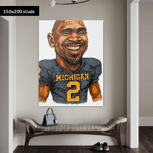 150*200studs, 120*160cm, 47,25*63inch