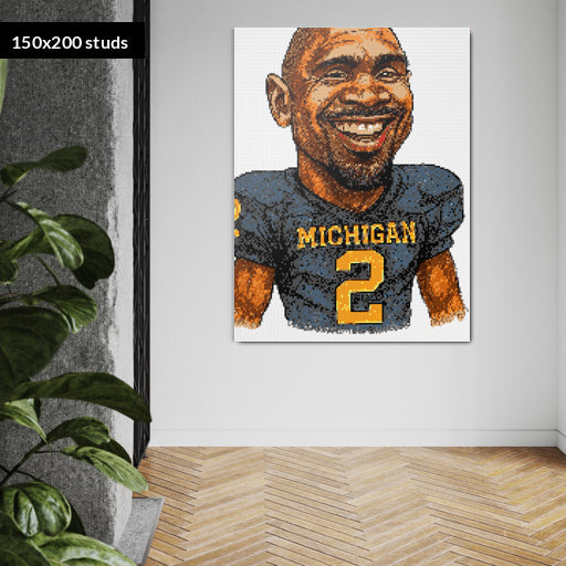 150*200studs, 120*160cm, 47,25*63inch