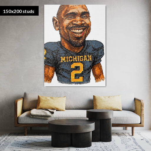 150*200studs, 120*160cm, 47,25*63inch