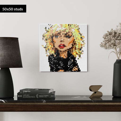 50*50studs, 40*40cm, 15,75*15,75inch