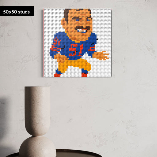 50*50studs, 40*40cm, 15,75*15,75inch