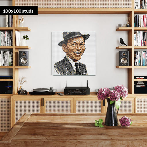 100*100studs, 80*80cm, 31,5*31,5inch