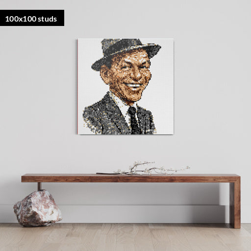 100*100studs, 80*80cm, 31,5*31,5inch