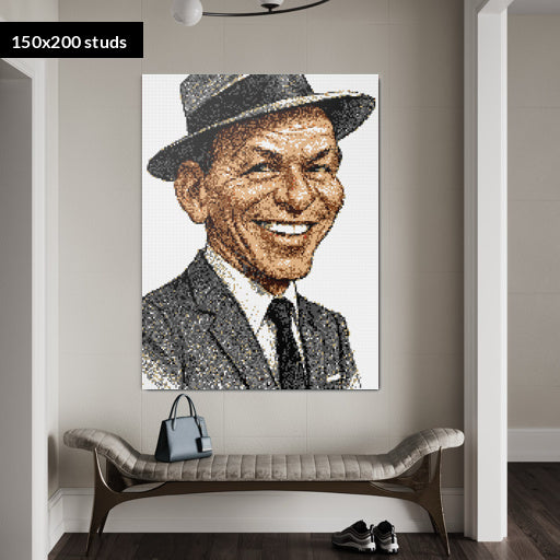 150*200studs, 120*160cm, 47,25*63inch