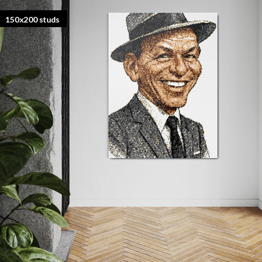 150*200studs, 120*160cm, 47,25*63inch