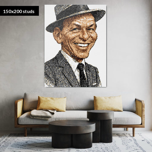 150*200studs, 120*160cm, 47,25*63inch