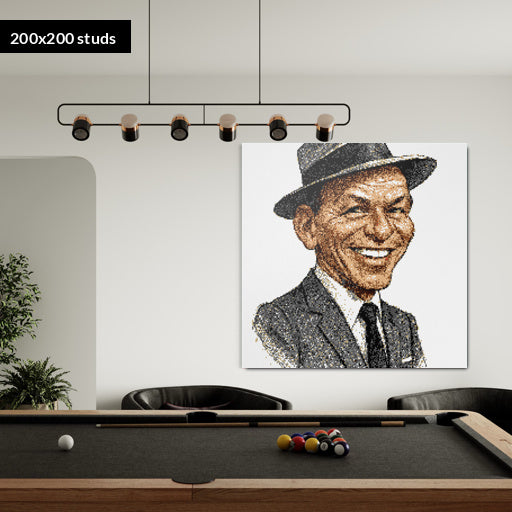 200*200studs, 160*160cm, 63*63inch