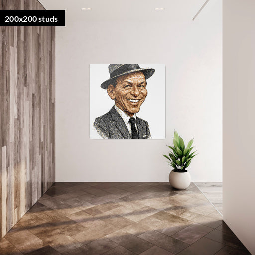 200*200studs, 160*160cm, 63*63inch