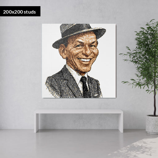 200*200studs, 160*160cm, 63*63inch