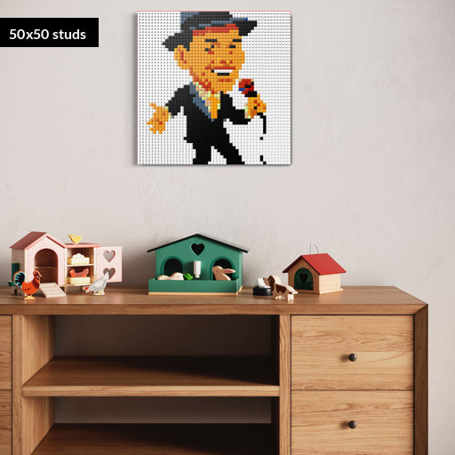 50*50studs, 40*40cm, 15,75*15,75inch