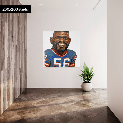 200*200studs, 160*160cm, 63*63inch