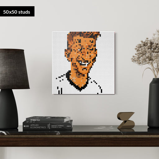 50*50studs, 40*40cm, 15,75*15,75inch