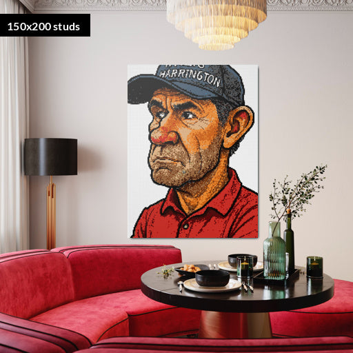 150*200studs, 120*160cm, 47,25*63inch