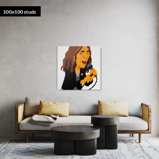 100*100studs, 80*80cm, 31,5*31,5inch