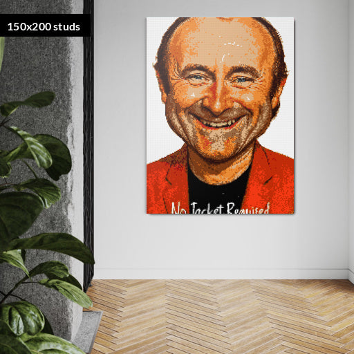 150*200studs, 120*160cm, 47,25*63inch