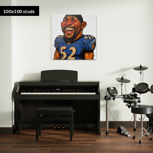 100*100studs, 80*80cm, 31,5*31,5inch