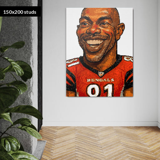 150*200studs, 120*160cm, 47,25*63inch