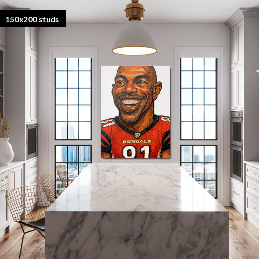 150*200studs, 120*160cm, 47,25*63inch