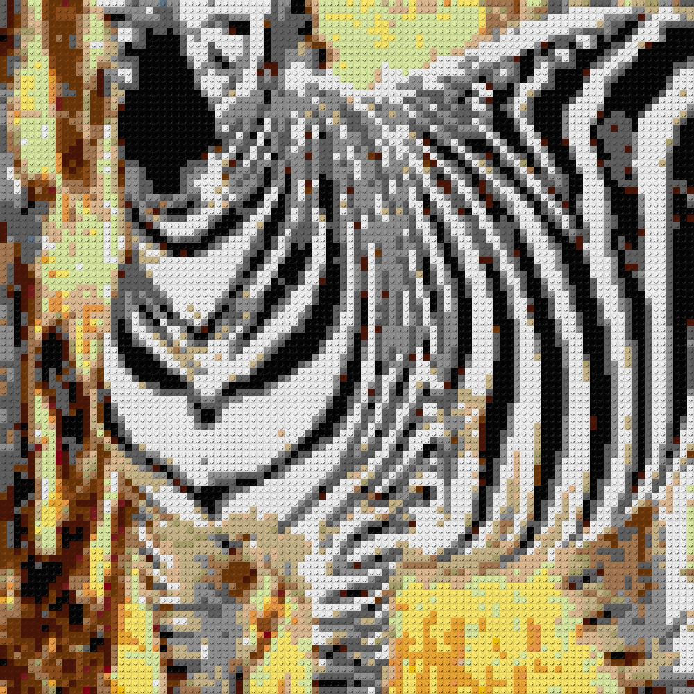 asdfasdgsdg
