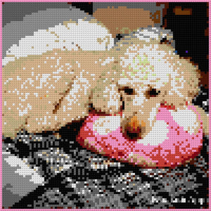 Custom Brick Mosaic