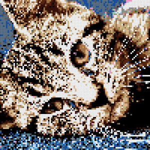 Custom Brick Mosaic