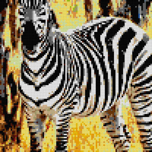 Custom Mosaic