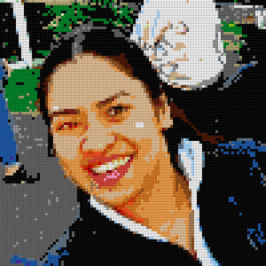 Custom Brick Mosaic