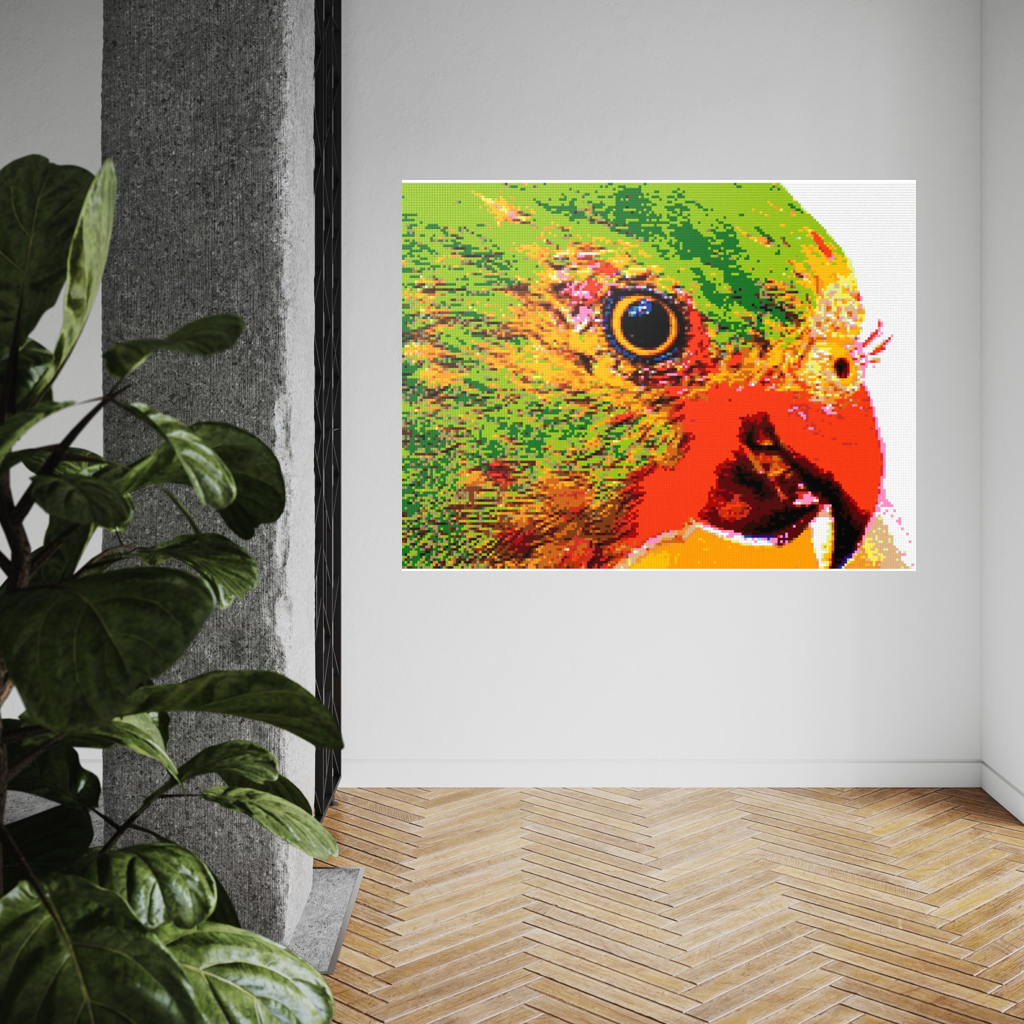 Lorikeet Portrait