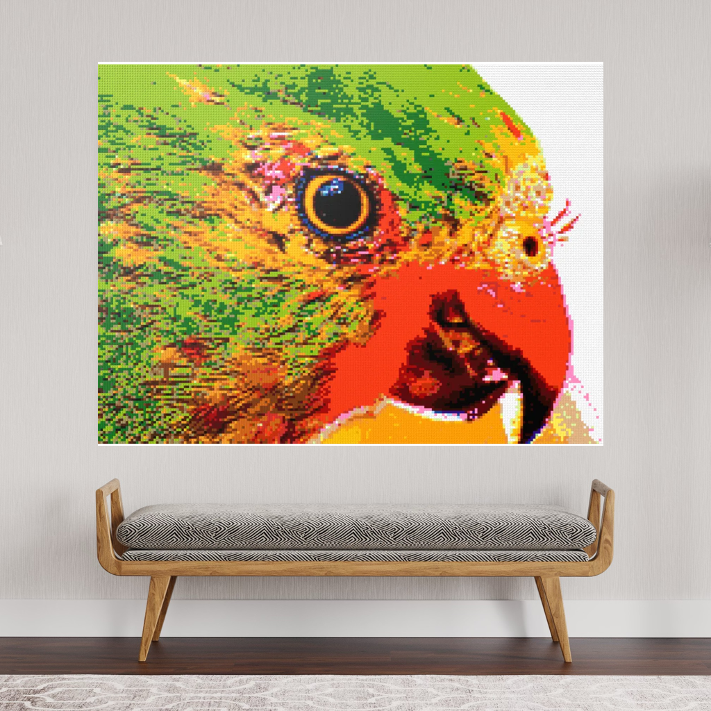 Lorikeet Portrait