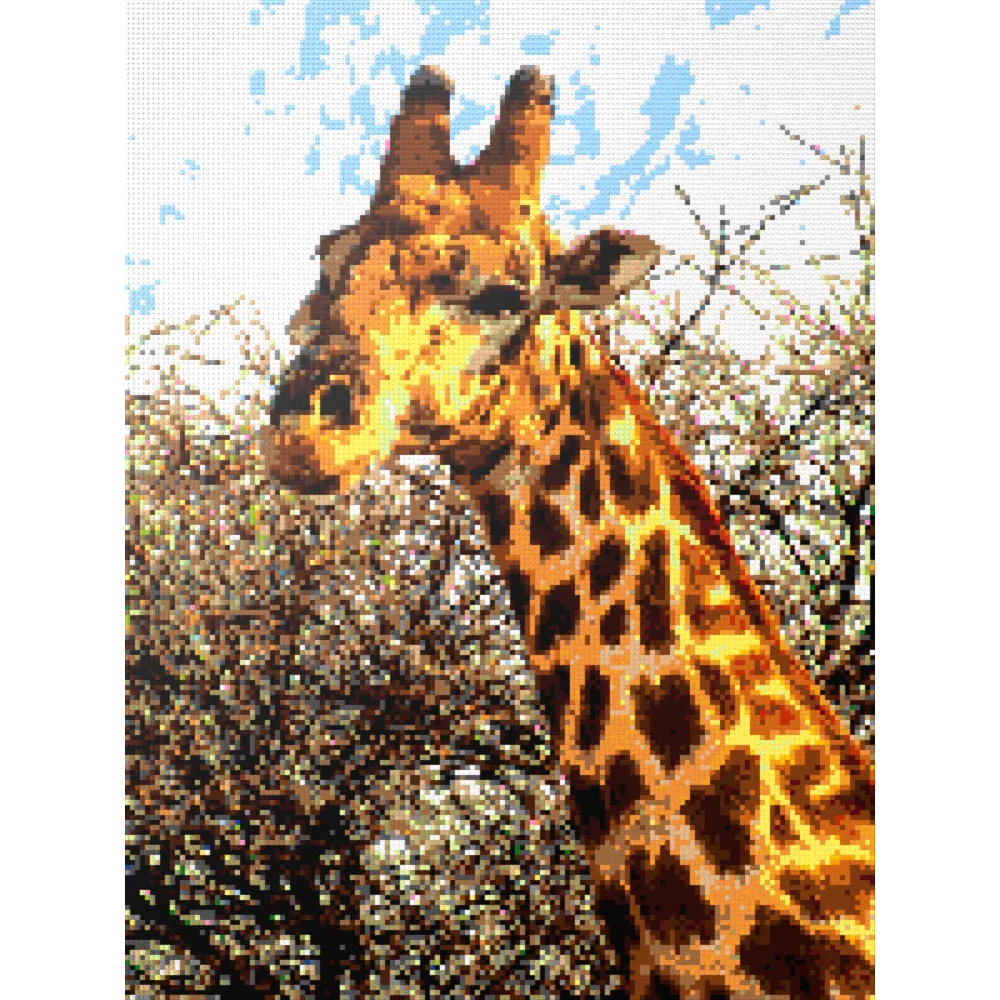African Giraffe Portrait Large