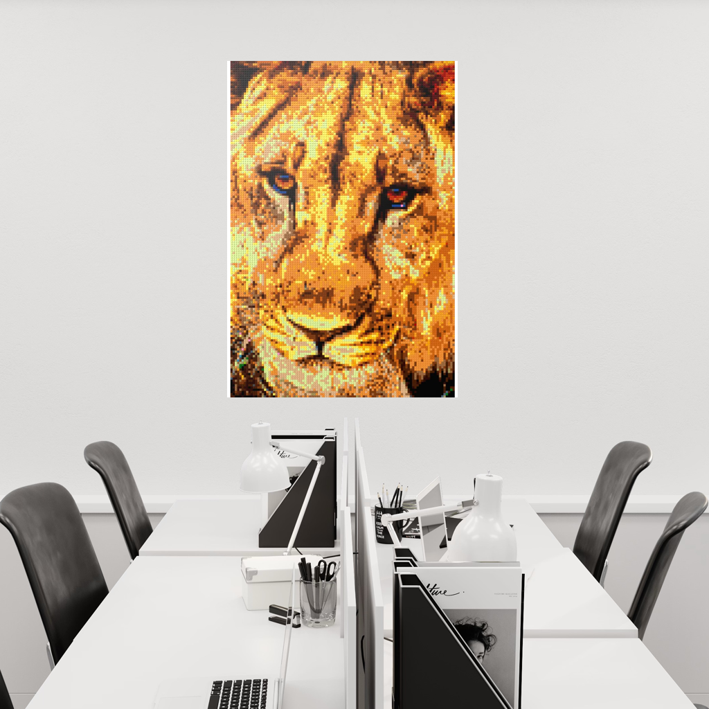 African Male Lion Closeup Portrait