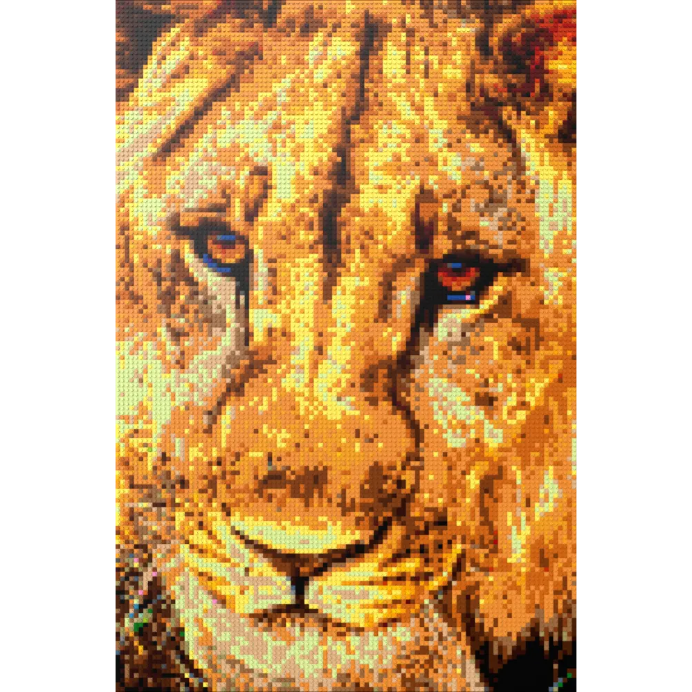 African Male Lion Closeup Portrait