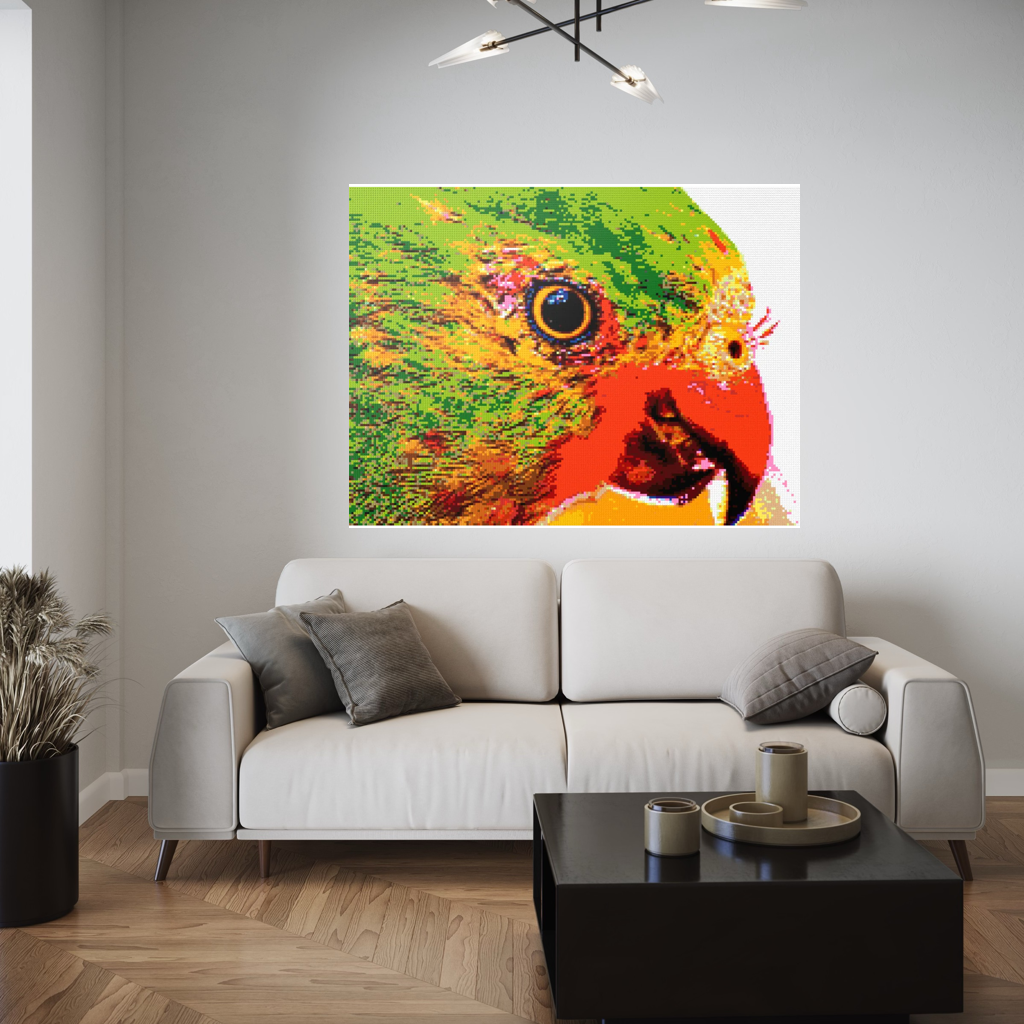 Lorikeet Portrait