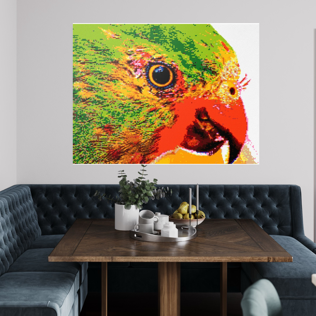 Lorikeet Portrait