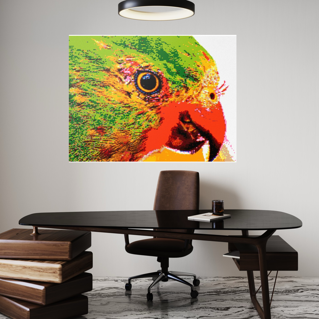 Lorikeet Portrait