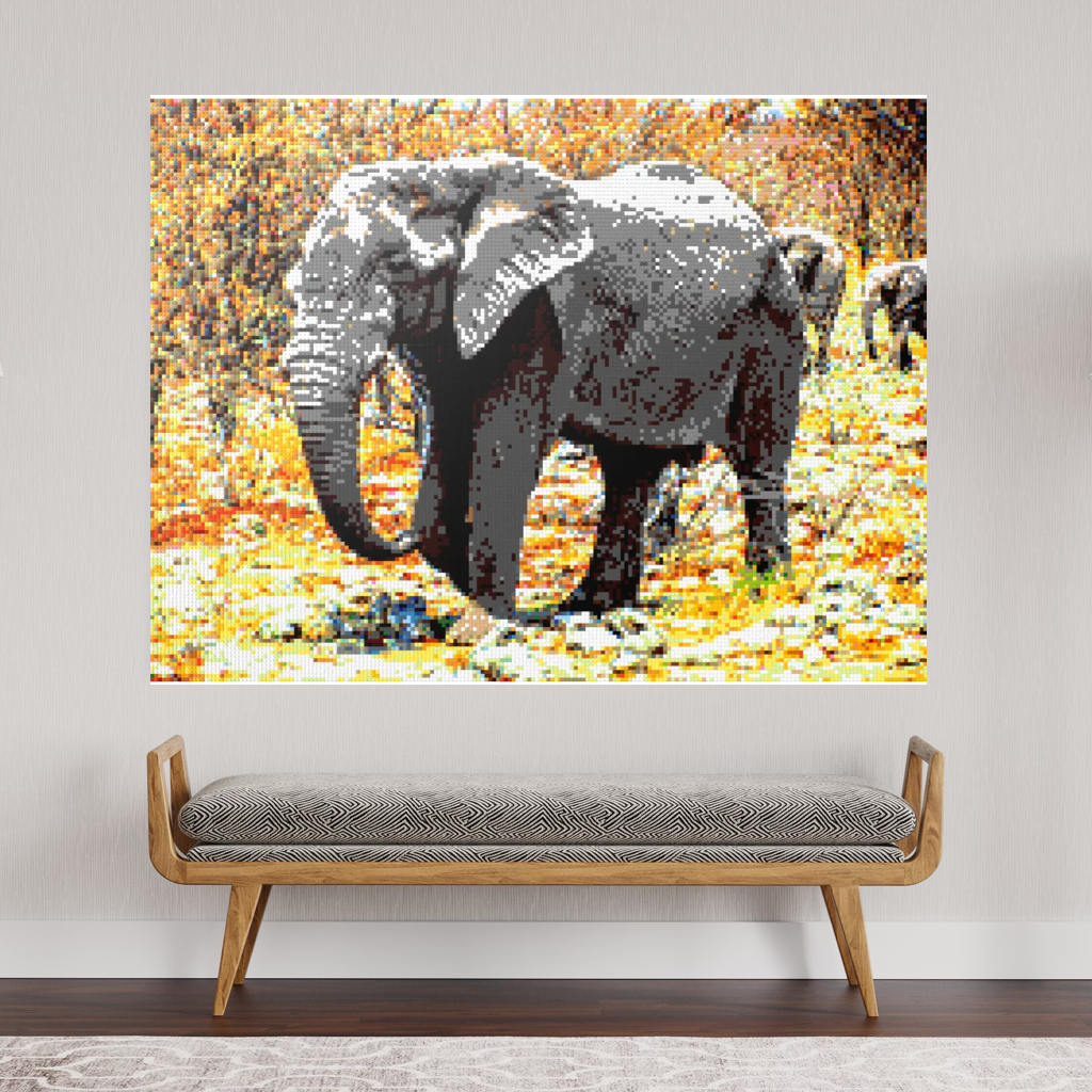 African Elephant Portrait