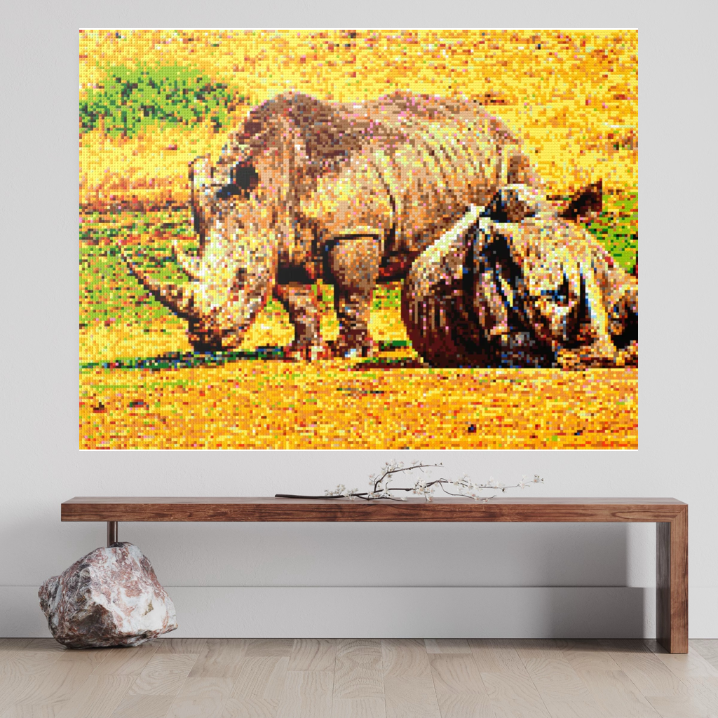 A pair of African rhinoceros in Southern Africa