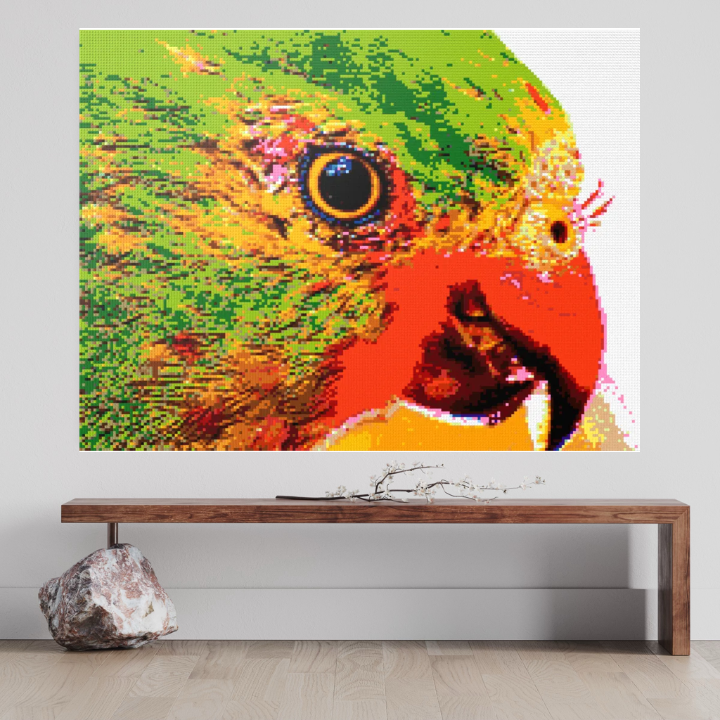 Lorikeet Portrait
