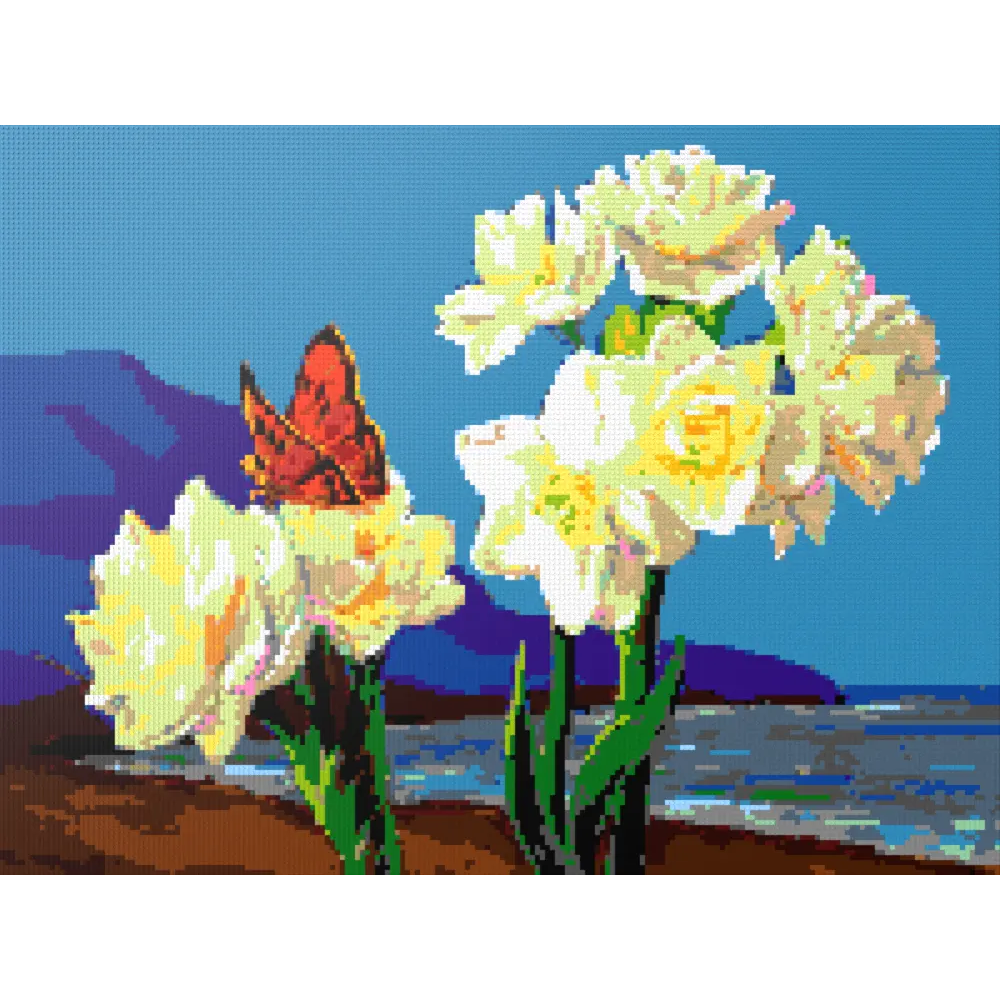 A Morning Greeting from Narcissus Flowers